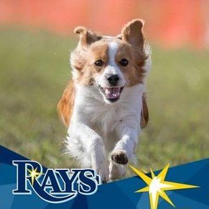 Meet your Posher, Kendra